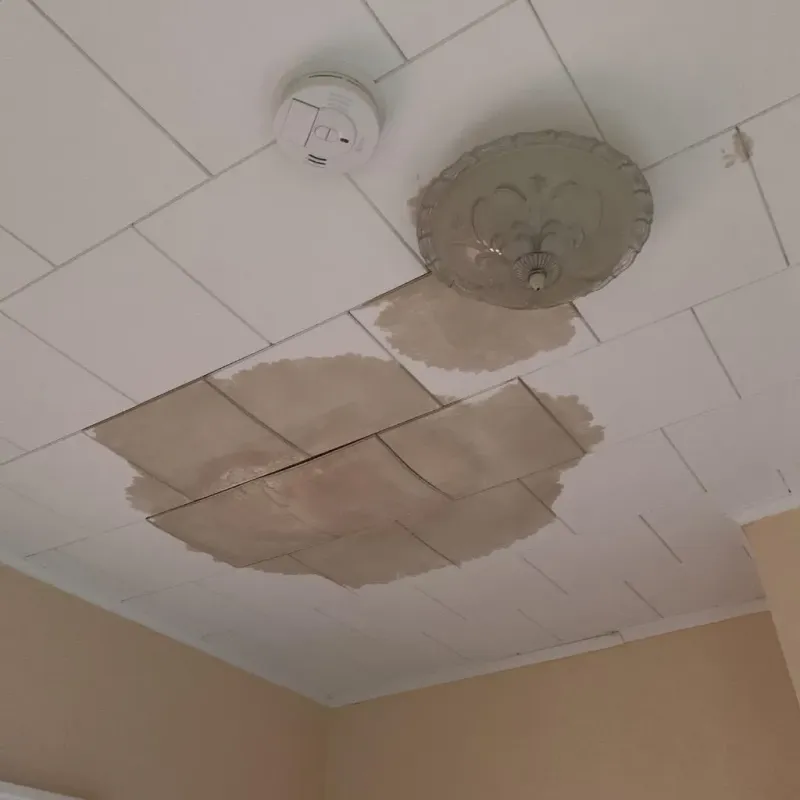 Ceiling Water Damage Repair in Richton, MS