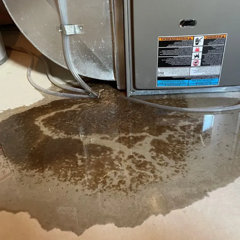 Pipe Burst and Leak Restoration in Richton, MS