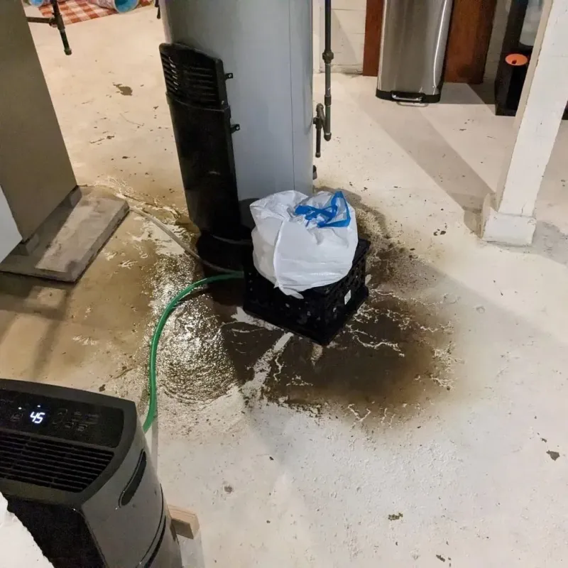 Sewage Backup Cleanup Service in Richton, MS